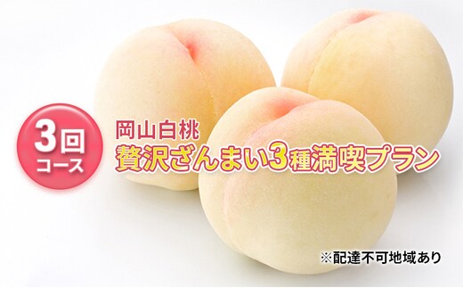 桃 【 2027年 先行予約】 岡山県産 贅沢 ざんまい 3種 満喫 プラン 3回 コース( 白鳳 ・ 清水白桃 ・白麗 各2kg) 《2027年7月上旬～8月中旬頃出荷》白桃 岡山 フルーツ 果物 先行予約 数量限定 期間限定里庄町 モモ もも 定期便