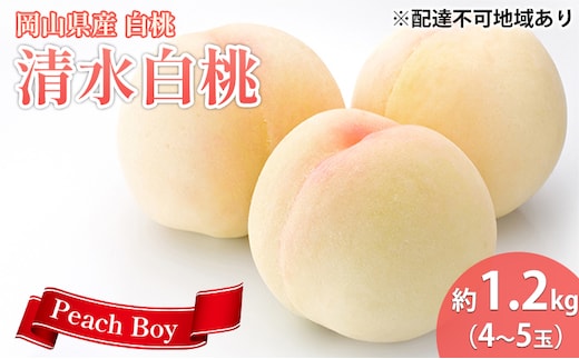 【 2026年 先行予約】 桃 岡山県産 清水 白桃 約1.2kg(4～5玉) 《2026年7月中旬-8月上旬頃出荷》 白桃 岡山 はくとう スイーツ フルーツ 果物 先行予約 数量限定 期間限定 岡山 里庄町 モモ もも 桃 