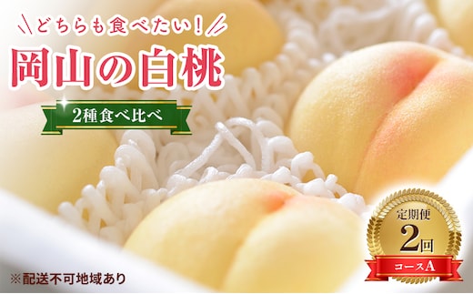 【2027年 先行予約】桃 岡山県産 岡山 白桃 2種 食べ比べ プラン 2回 コースA ( 白鳳 ・ 清水白桃 各1.5kg) 《2027年7月上旬-8月上旬頃出荷》定期便 数量限定 期間限定 里庄町 モモ もも 
