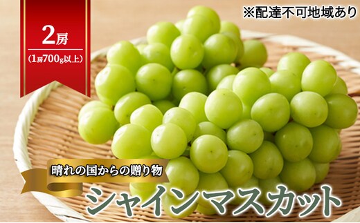 【2026年先行予約】 ぶどう 岡山県産 晴れの国からの 贈り物 シャインマスカット 2房（1房700g以上） 《2026年9月上旬-10月中旬頃出荷》 葡萄 ブドウ フルーツ 果物 スイーツ 数量限定 期間限定 岡山 里庄町 