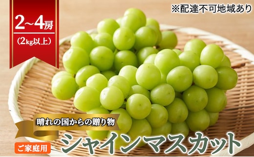 【2026年先行予約】【ご家庭用】 ぶどう 岡山県産 晴れの国からの 贈り物 シャインマスカット 2kg以上（2房～4房） 《2026年9月上旬-10月中旬頃出荷》 葡萄 フルーツ 果物 スイーツ 数量限定 期間限定 岡山 里庄町