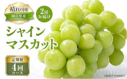 【 2026年 先行予約 】ぶどう 晴れの国 シャインマスカット 2房 定期便 4回 コース 《2026年7月-10月出荷》 葡萄 ブドウ 岡山県産 フルーツ 果物 数量限定 里庄町 
