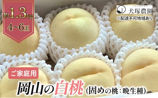 固めの桃 2026年 先行予約 ご家庭用 岡山 の 白桃 （晩生種）約1.3kg 4～6玉 岡山県 フルーツ もも 桃 モモ ピーチ 人気 新鮮 フルーツ 桃 もも 桃 モモ 訳あり くだもの 桃 もも 果物 フルーツ 桃 もも 