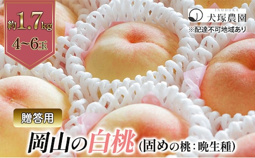 固めの桃 2026年 先行予約 贈答用 岡山の 白桃（晩生種）約1.7kg 4～6玉 岡山県 フルーツ もも 桃 モモ ピーチ 人気 新鮮 フルーツ 桃 フルーツ もも 桃 ギフト くだもの 桃 もも 果物 フルーツ 桃 もも 