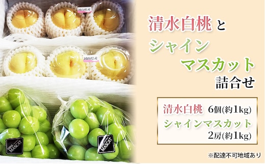 【2026年先行予約】桃 ぶどう 岡山県産 清水白桃（6個・約1kg）と シャインマスカット （2房・約1kg） 詰合せ セット 《2026年7月下旬-8月中旬頃出荷》 もも モモ 葡萄 ブドウ フルーツ 果物 数量限定 