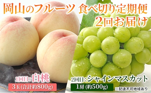 フルーツ 2026年 岡山のフルーツ 食べ切り 定期便 白桃 3玉 合計約800g／シャイン マスカット 1房 約500g もも 葡萄 ブドウ 岡山県産 フルーツ シャインマスカット 桃 果物 旬 定期便
