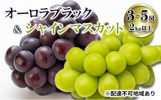 【2026年先行予約】 ご家庭用 ぶどう 岡山県産オーロラブラック＆シャインマスカット 3～5房（2kg以上) 《2026年7月下旬-8月下旬頃出荷》 葡萄 ブドウ フルーツ 果物 スイーツ 数量限定 期間限定 里庄町 リアム farm