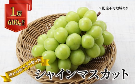 【2026年先行予約】 ぶどう 岡山県産 晴れの国からの 贈り物 シャインマスカット 1房（600g以上） 《2026年9月上旬-10月中旬頃出荷》 葡萄 ブドウ フルーツ 果物 スイーツ 数量限定 期間限定 岡山 里庄町 
