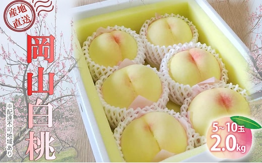 【桃 2026年 先行予約】ご家庭用 白桃 約2kg（5～10玉） もも モモ 岡山県 国産 フルーツ 果物