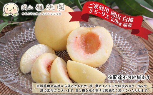桃 2026年 先行予約 ご家庭用 岡山 白桃 5玉～9玉 2.0kg 前後 もも 岡山県産 国産 フルーツ 果物 雅桃園