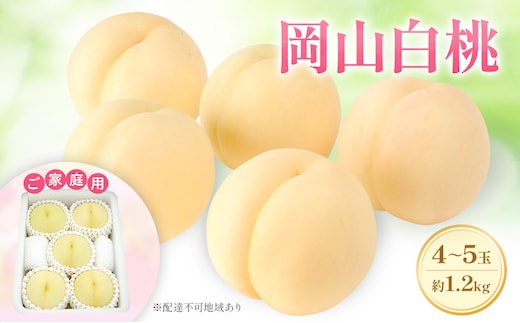 もも 2026年 先行予約 【ご家庭用】 岡山白桃 エース 4～5玉 約1.2kg (6月下旬～7月下旬出荷予定)