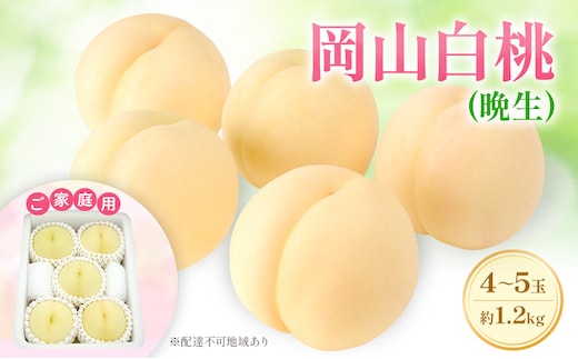 もも 2026年 先行予約 【ご家庭用】 岡山白桃 エース (晩生) 4～5玉 約1.2kg (8月中旬～8月下旬出荷予定)