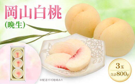 もも 2026年 先行予約 岡山白桃 ロイヤル (晩生) 3玉 合計約800g (8月中旬～8月下旬出荷予定)