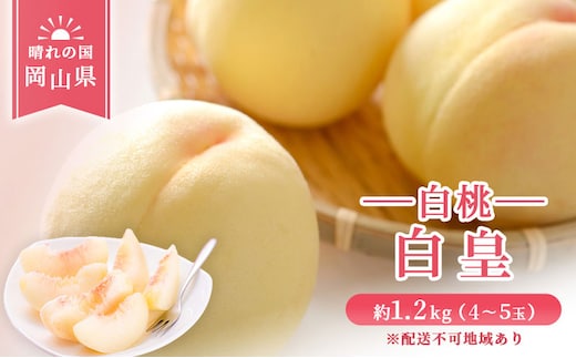 【 2026年 先行予約】 桃 岡山県産 白皇 （ 白桃 ） 約1.2kg （4～5玉） 《2026年8月中旬-8月下旬頃出荷》 白桃 岡山 はくとう スイーツ フルーツ 果物 先行予約 数量限定 期間限定 里庄町 モモ もも