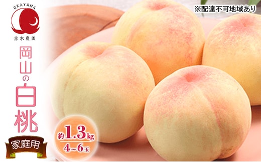 桃 2026年 先行予約 ご家庭用 岡山の白桃 約1.3kg 4～6玉 白桃 もも モモ フルーツ 果物 岡山県産 国産 赤木農園