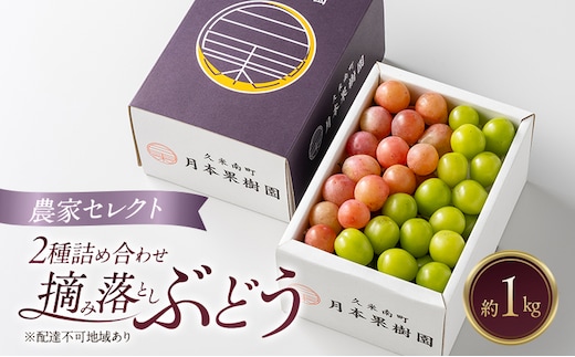 岡山県産 摘み落としぶどう 農家セレクト2種詰め合わせ 約1kg 葡萄 ブドウ 岡山県産 オーロラブラック ピオーネ クイーンニーナ シャインマスカット 数量限定