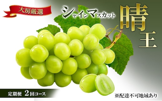 【2026年先行予約】晴れの国 大房厳選 シャインマスカット 晴王 夏秋 定期便 2回 コース《2026年6月中旬-10月上旬頃出荷》 ブドウ 果物 マスカット 岡山 里庄 数量限定
