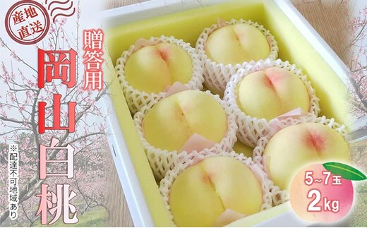 【桃 2026年 先行予約】贈答用 岡山白桃 約2kg(5～7玉) もも モモ 岡山県 国産 フルーツ 果物