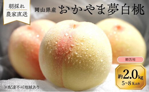 桃 2027年 先行予約 岡山県産 おかやま夢白桃 贈答用 2.0kg(5～8玉) 朝採れ 農家直送
