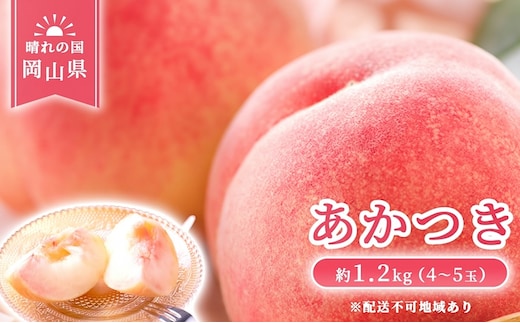 【 2027年 先行予約】 桃 岡山県産 あかつき 約1.2kg(4～5玉) 《2027年7月上旬-中旬頃出荷》 白桃 岡山 はくとう スイーツ フルーツ 果物 先行予約 数量限定 期間限定 岡山 里庄町 モモ もも 桃