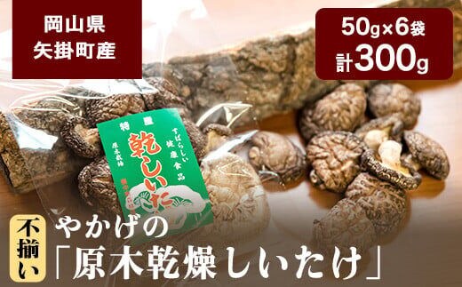 やかげの「原木乾燥しいたけ」300g 《60日以内に出荷予定(土日祝除く)》 不揃い 備中南森林組合 岡山県矢掛産---osy_bityukanso_30d_24_12000_300g---