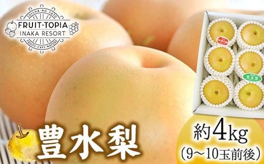 先行予約 産地直送 豊水梨 約4kg (9～10玉前後) 《9月上旬-10月上旬頃出荷》 水車の里フルーツトピア 期間限定 岡山県 矢掛町 なし 果物 スイーツ フルーツ デザート---osy_suihsn_ad9_26_20000_4---