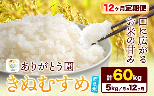 12ヶ月定期便】新米 令和5年産 米 岡山県産 きぬむすめ 無洗米 選べる