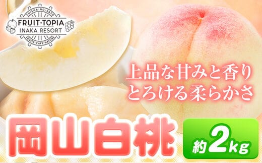 先行予約 岡山 白桃 約2kg 水車の里フルーツトピア 《7月上旬から8月下旬頃に出荷予定》 岡山 白桃 岡山県 矢掛町 桃 モモ 果物 スイーツ フルーツ デザート 白桃---osy_csuioht_ak7_26_33500_2---