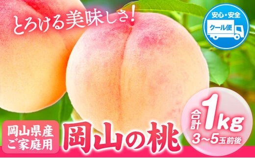 【2026年発送先行予約】岡山の桃 約1kg 3～5玉前後 《2026年6月下旬-9月上旬頃出荷》 岡山県 矢掛町 厳選出荷 白桃 黄桃 はなよめ 日川白鳳 白鳳 清水白桃 おかやま夢白桃 川中島白桃 白皇 黄金桃 果物 フルーツ 桃 ---ofn_cwomx_l69_25_10000_1000---