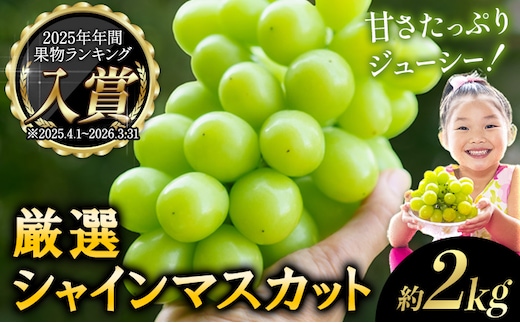 【高レビュー ★5】 厳選 シャインマスカット 約2kg 3～4房《2026年9月上旬-11月中旬に出荷予定(土日祝除く)》 シャインマスカット 数量限定 厳選 シャインマスカット マスカット シャイン ぶどう シャインマスカット フルーツ 岡山県産 シャインマスカット 矢掛 シャインマスカット ---ofn_cwsmx_ae911_26_19000_2---