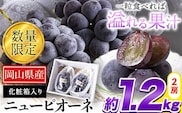 秀品 ニューピオーネ 約1.2kg 2房 《8月下旬-10月中旬頃出荷》 ピオーネ ニューピオーネ ---ofn_csnp_h810_25_24000_2---