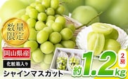 秀品 シャインマスカット 約1.2kg 2房 葡萄 果物 スイーツ フルーツ デザート 岡山県 矢掛町 《9月上旬-11月上旬頃出荷》---ofn_cssm_ad911_26_24000_2---