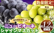 秀品 シャインマスカット ニューピオーネ  詰め合わせ 約1.2kg 2房 葡萄 果物 厳選出荷 スイーツ フルーツ デザート 岡山県矢掛町《9月上旬～10月中旬頃に出荷予定(土日祝除く)》---ofn_csnpsm_ae9_26_24000_2---