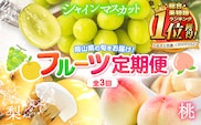 岡山県 旬のフルーツ定期便 全3回 《7月上旬～12月末頃出荷》フルーツ定期便 桃 フルーツ定期便 シャインマスカット フルーツ定期便 梨 フルーツ定期便 フルーツ定期便 フルーツ定期便 フルーツ定期便 フルーツ定期便 ---ofn_cfrutei_26_35500_jul3---