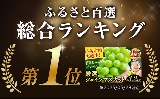 総合1位獲得】高レビュー ☆4.5 厳選 シャインマスカット 約1.2kg