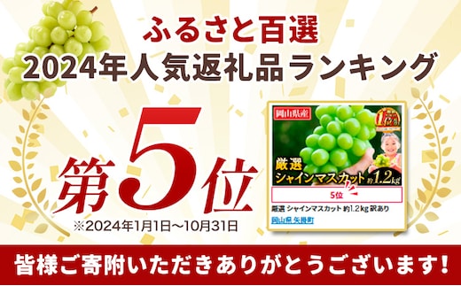 2026年発送先行予約】 厳選 シャインマスカット 約1.2kg 《2026年9月