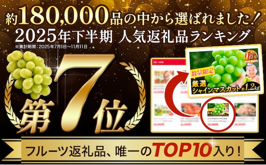総合1位獲得】高レビュー ☆4.5 厳選 シャインマスカット 約1.2kg