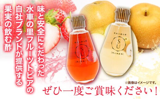 SU 果実の飲む酢 苺 梨 ギフトセット 200ml×2本 《60日以内に順次出荷