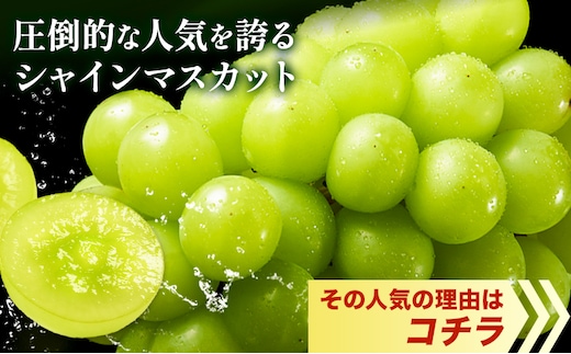 DESIRE: UNLEASH ※シャインマスカット Amazon.co.jp: 【Amazon.co.jp