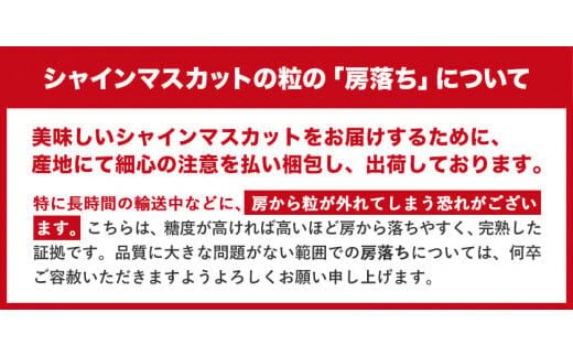 先行予約】 訳あり シャインマスカット 約1.3kg 2房 《2024年9月中旬