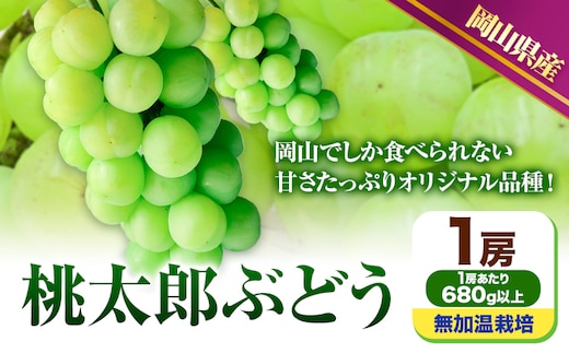 【先行予約】 岡山県産 桃太郎ぶどう 1房 (680g以上) 無加温栽培【配送不可地域あり】 無加温栽培《9月上旬-10月下旬頃出荷》 岡山県 矢掛町 ぶどう 葡萄 果物---osy_chbf5_ak9_26_18000_1---