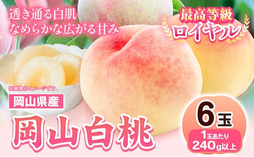 【先行予約】 岡山県産 岡山白桃 6玉 (240g以上) 【配送不可地域あり】 《7月上旬-8月下旬頃出荷》 桃 岡山県 桃 矢掛町 桃 桃 もも 桃 白桃 桃 果物 桃 岡山県産 桃 モモ 桃 6玉 桃---osy_chbf3_ak7_26_23000_6---