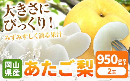 【2026年発送先行予約】岡山県産 あたご梨 大玉2玉（950g以上）【配送不可地域あり】 《2026年11月下旬-12月下旬頃に出荷予定(土日祝除く)》 岡山県 矢掛町 なし 梨 果物---osy_hbf27_p11_26_14000_2---