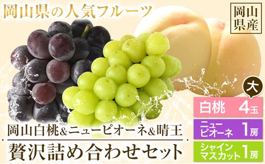 【先行予約】 岡山白桃 & シャインマスカット（晴王）& ニューピオーネ セット 大【配送不可地域あり】白桃 ロイヤル シャインマスカット 1房 ニューピオーネ 1房《7月上旬-8月中旬頃出荷》 岡山県 矢掛町 桃 もも 晴王 ぶどう 詰め合わせ 果物---osy_chbf34_ae7_26_41500_ls---