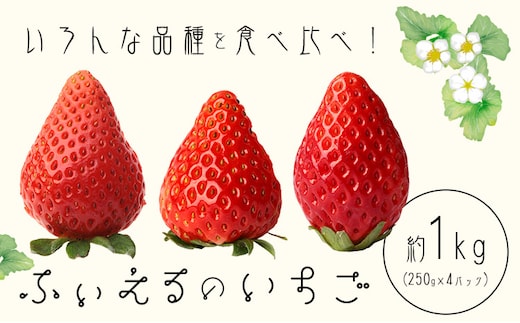 いちご 章姫 晴苺 紅ほっぺ 約1kg(約250g×4P) ふぃえる《1月上旬～4月中旬頃出荷予定》岡山県 矢掛町産 苺 果物 フルーツ ふぃえる---osy_cfelitg_ae14_25_18000_1---