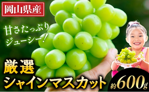 【2026年出荷先行予約】 厳選 シャインマスカット 約600g 《2026年9月上旬-11月中旬頃に出荷予定(土日祝除く)》 ぶどう マスカット フルーツ 先行予約 果物 岡山 不揃い 晴王 ブドウ 厳選シャイン 先行予約 お手頃---ofn_cwsmx_ae911_26_10000_h6---