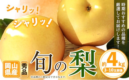【先行予約】岡山県産 旬の 梨 約4kg 3～10玉前後 梨 秀品 新高 愛宕 スイーツ フルーツ デザート 旬 岡山県矢掛町《9月上旬-1月末頃に出荷予定》---ofn_ssnx_af91_25_22500_4kg---