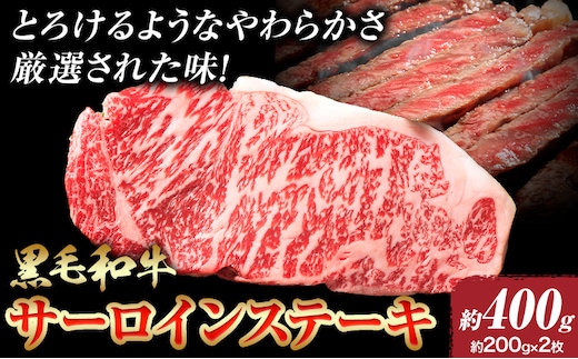 A5等級 黒毛和牛 サーロインステーキ 約400g【配送不可地域あり】《30日以内に出荷予定(土日祝除く)》 岡山県 矢掛町 ステーキ サーロイン---osy_fhbf45_30d_24_18500_400g---