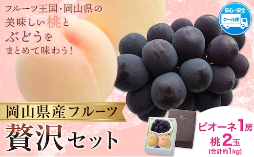 【2026年発送先行予約】桃・ピオーネ詰め合わせ 約1kg クール便 冷蔵便 桃 もも 葡萄 ブドウ ぶどう ピオーネ フルーツ セット 晴れの国おかやま館 《2026年8月下旬-9月中旬頃出荷》 フルーツ 果物 果実 岡山県 矢掛町---ofn_chokmp_h8_25_16500_10---