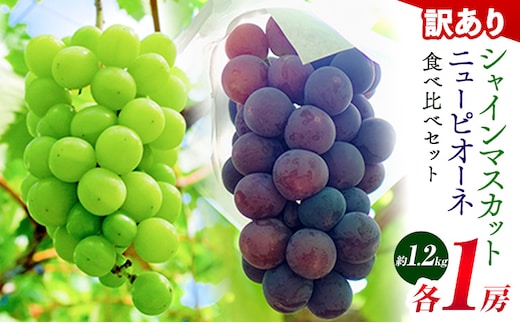 訳あり ニューピオーネ シャインマスカット 詰め合わせ 約1.2kg 2房 葡萄 果物 優品 厳選出荷 スイーツ フルーツ デザート 岡山県矢掛町《9月上旬～10月中旬頃に出荷予定(土日祝除く)》---osy_cwsmnp_ae9_26_13500_s---
